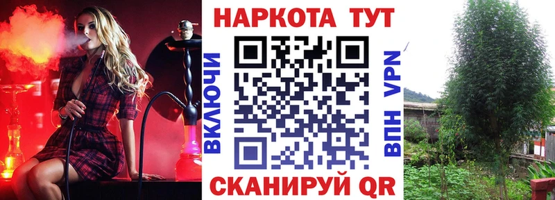 Купить наркоту Каменногорск Alpha PVP Меф Канабис
