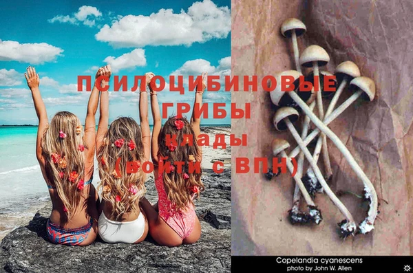 а пвп мука Абинск