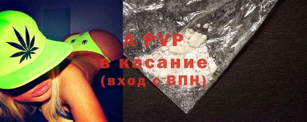 спиды Абаза