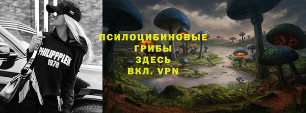 спиды Абаза