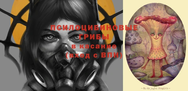 спиды Абаза